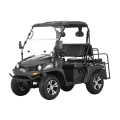 200cc EFI Faltbare Sitz UTV-Kohlefaserfarbe